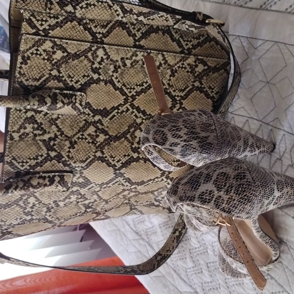 Shoes/purse